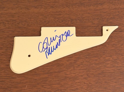 Battipenna chitarra prolina